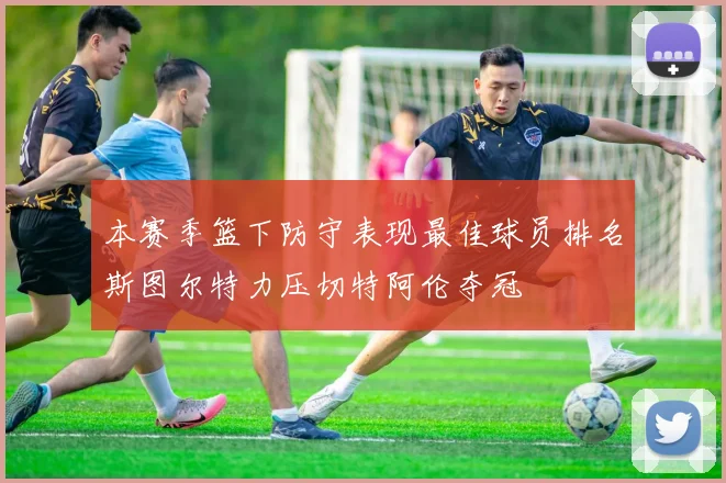 本赛季篮下防守表现最佳球员排名斯图尔特力压切特阿伦夺冠