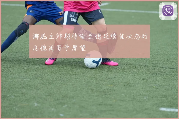 挪威主帅期待哈兰德延续佳状态对厄德高寄予厚望